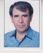  امیر ویسی